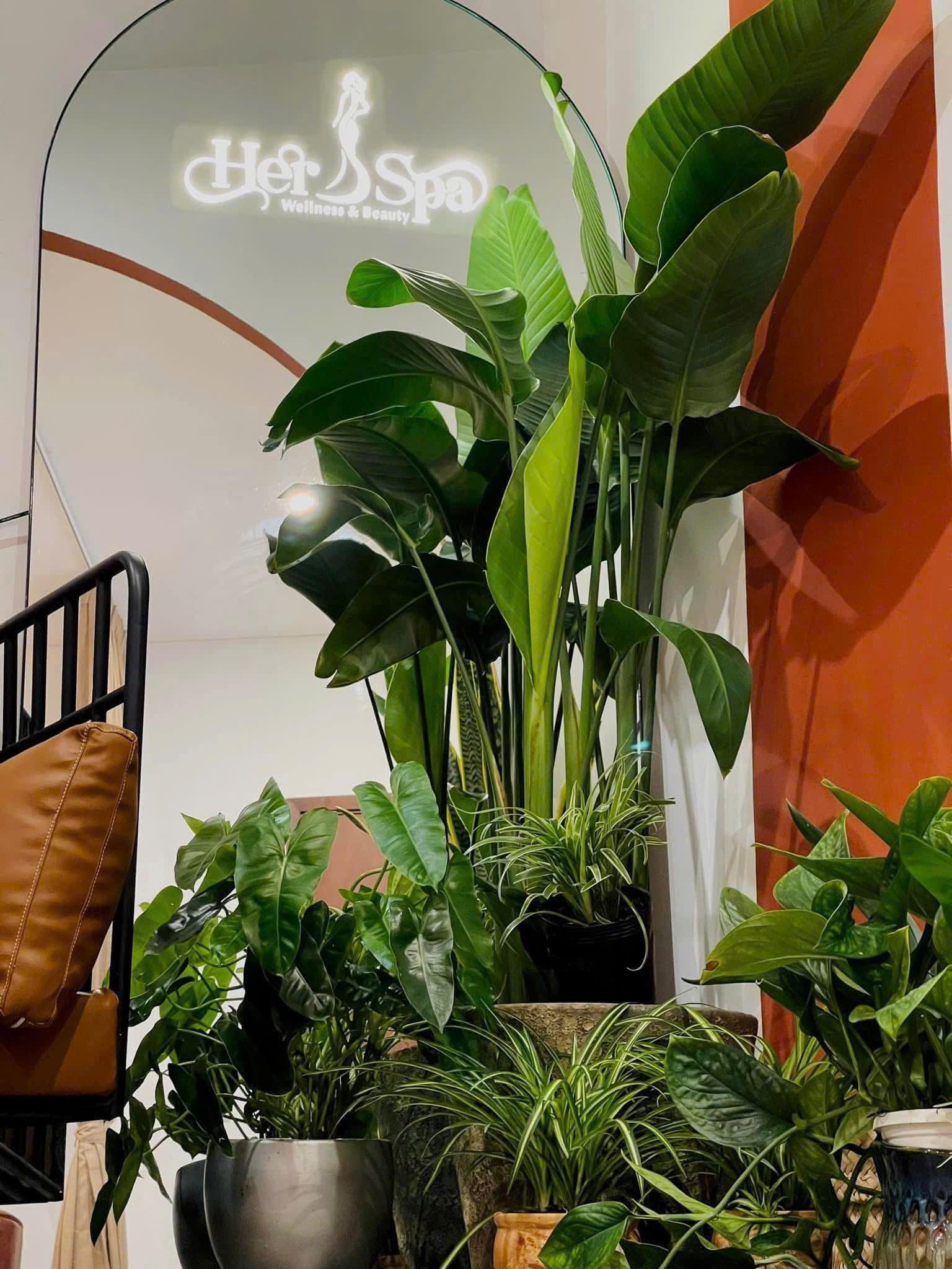 Community activity 76